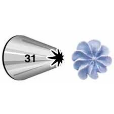 # 31 Closed Star Tip