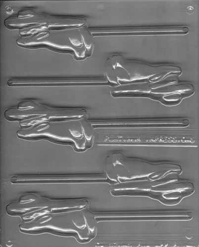 Cactus and Coyote Pop Mold