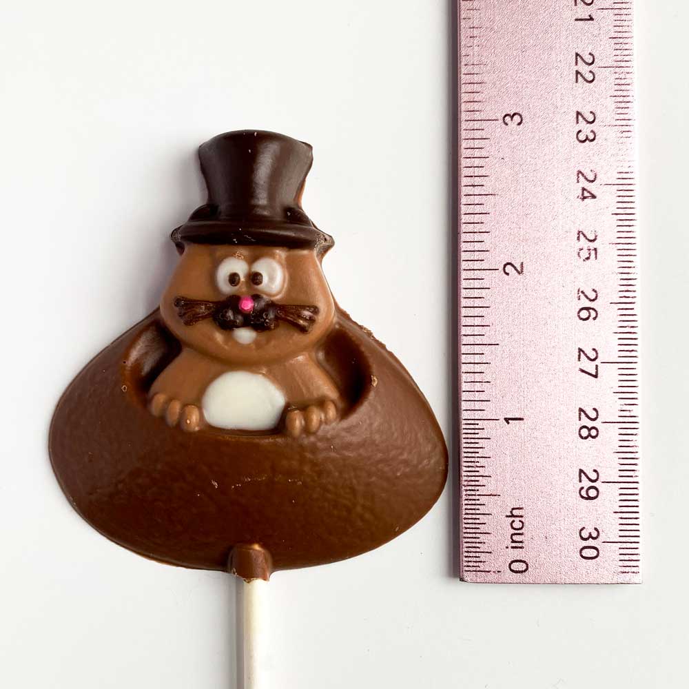 Groundhog Day Lollipop Candy Mold - Image 2