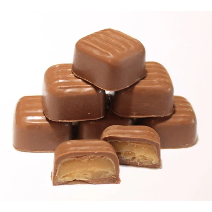 Large Caramel Pieces Chocolate Mold - Image 2