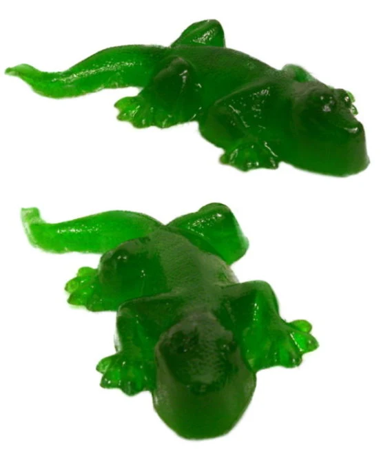 Lizard Candy Mold - Image 2